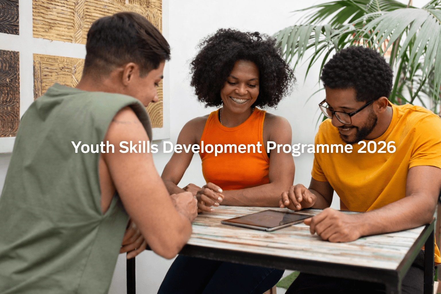 Youth Skills Development Programme 2026