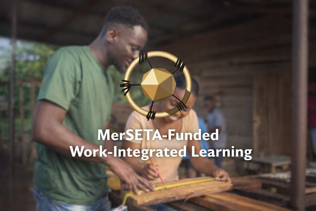 MerSETA-Funded Work-Integrated Learning