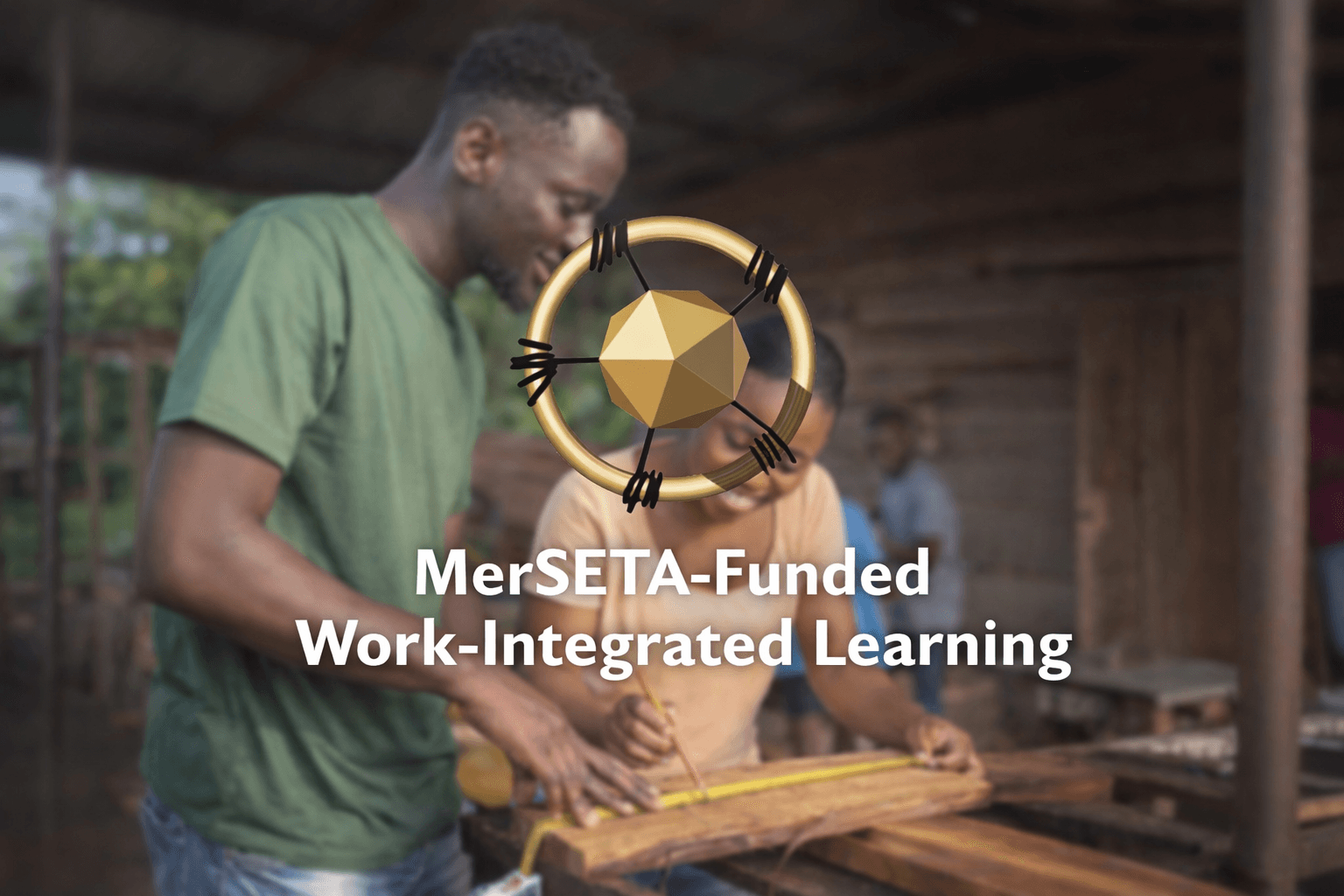 MerSETA-Funded Work-Integrated Learning