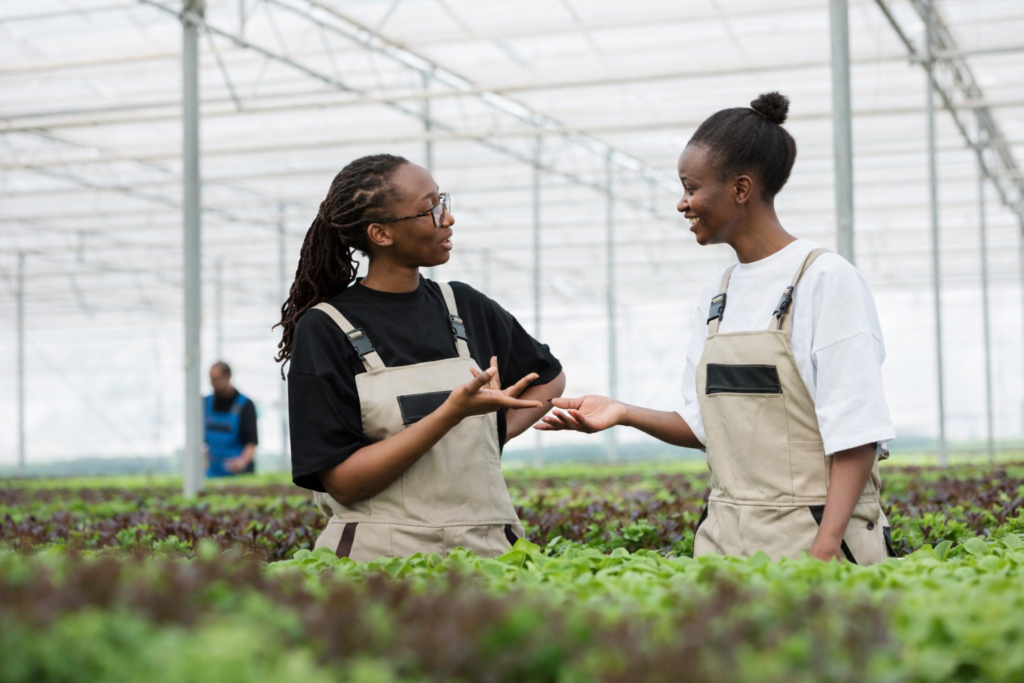 Limpopo Department of Agriculture AgriSETA Internships
