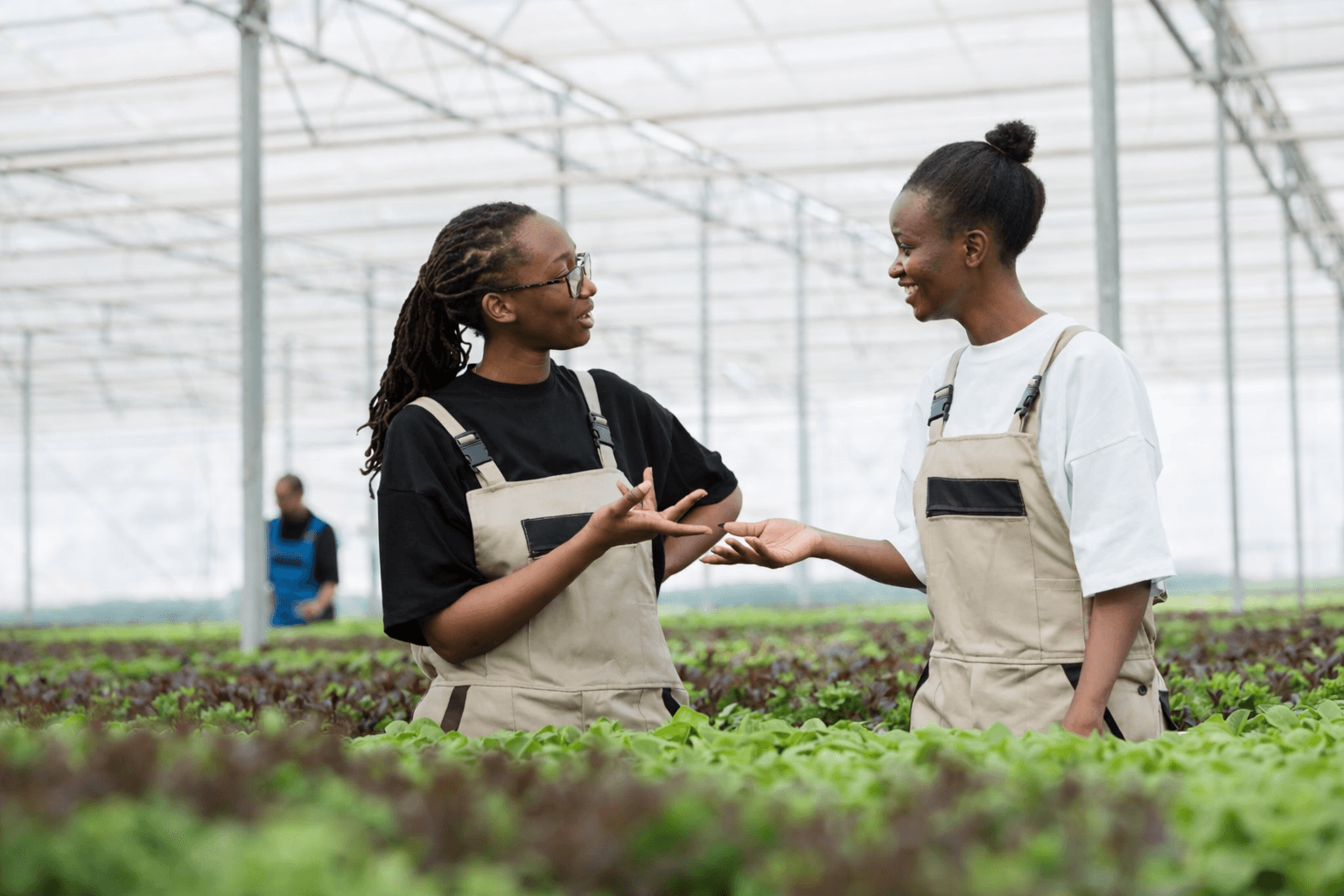 Limpopo Department of Agriculture AgriSETA Internships